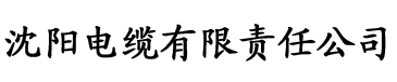 亚欧无专码高清砖砖专区电缆厂logo